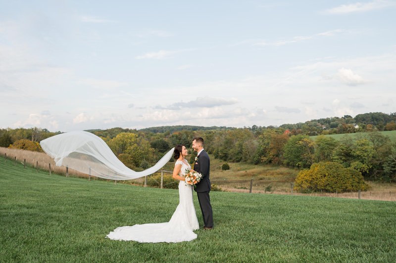 Newlyweds in an open landscape with the bride's veil flowing in the breeze