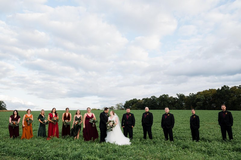 Wedding party in a sweeping landscape